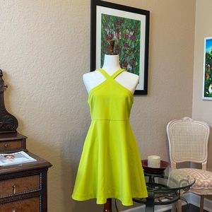 Likely Halter Ashland Dress in Age green